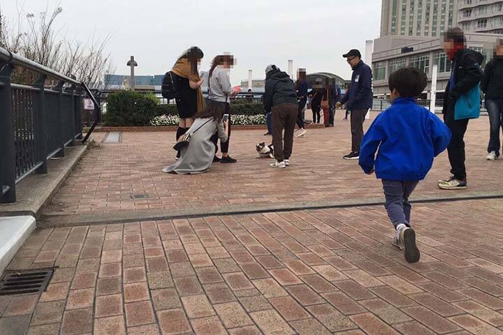 フレンチブルドッグのムギちゃんと行く ツマコのお出かけ日記 ~お台場編~ | Fanimal(ファニマル) フレブルムギ~お台場編~3 | Fanimal(ファニマル)