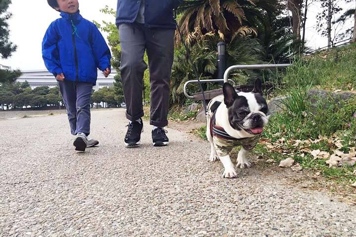 フレンチブルドッグのムギちゃんと行く ツマコのお出かけ日記 ~お台場編~ | Fanimal(ファニマル) フレブルムギ~お台場編~3 | Fanimal(ファニマル)