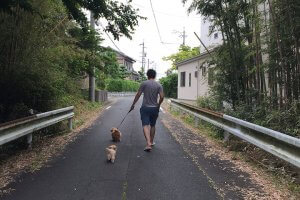 愛犬と四季を感じて楽しむお散歩の方法-ワンだろう?事典 | Fanimal(ファニマル) 愛犬と四季を感じて楽しむお散歩の方法2 | Fanimal(ファニマル)