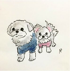 5月13日は愛犬の日!愛犬家が選ぶ憧れのSNS犬アカウント TOP3とは? | Fanimal(ファニマル) プレスリリース3 | Fanimal(ファニマル)