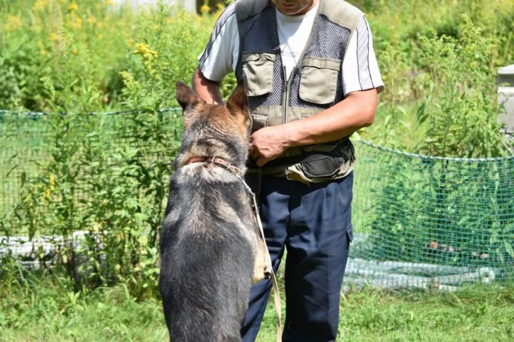 マキドッグスクール 警察犬訓練
