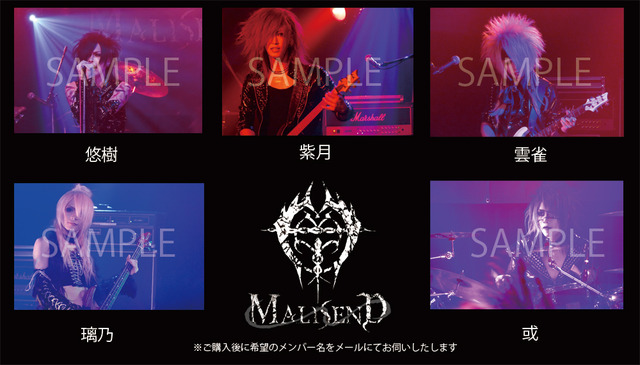 1628155-malisendph