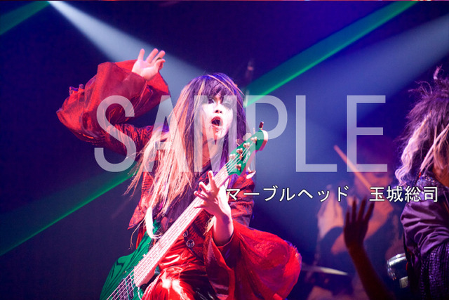 3074575-marble_tamaki