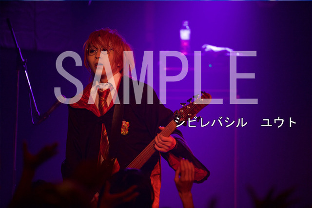 3074605-sibire_yuto