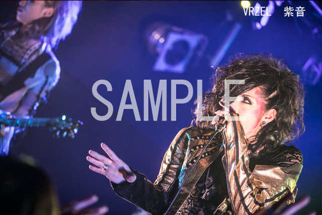 4114823-vrzel_sion