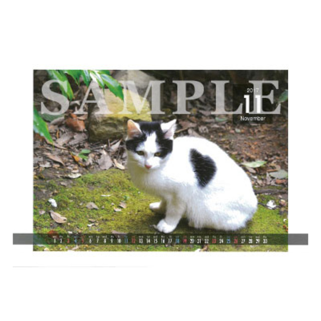 4159762-calendar_in_nov