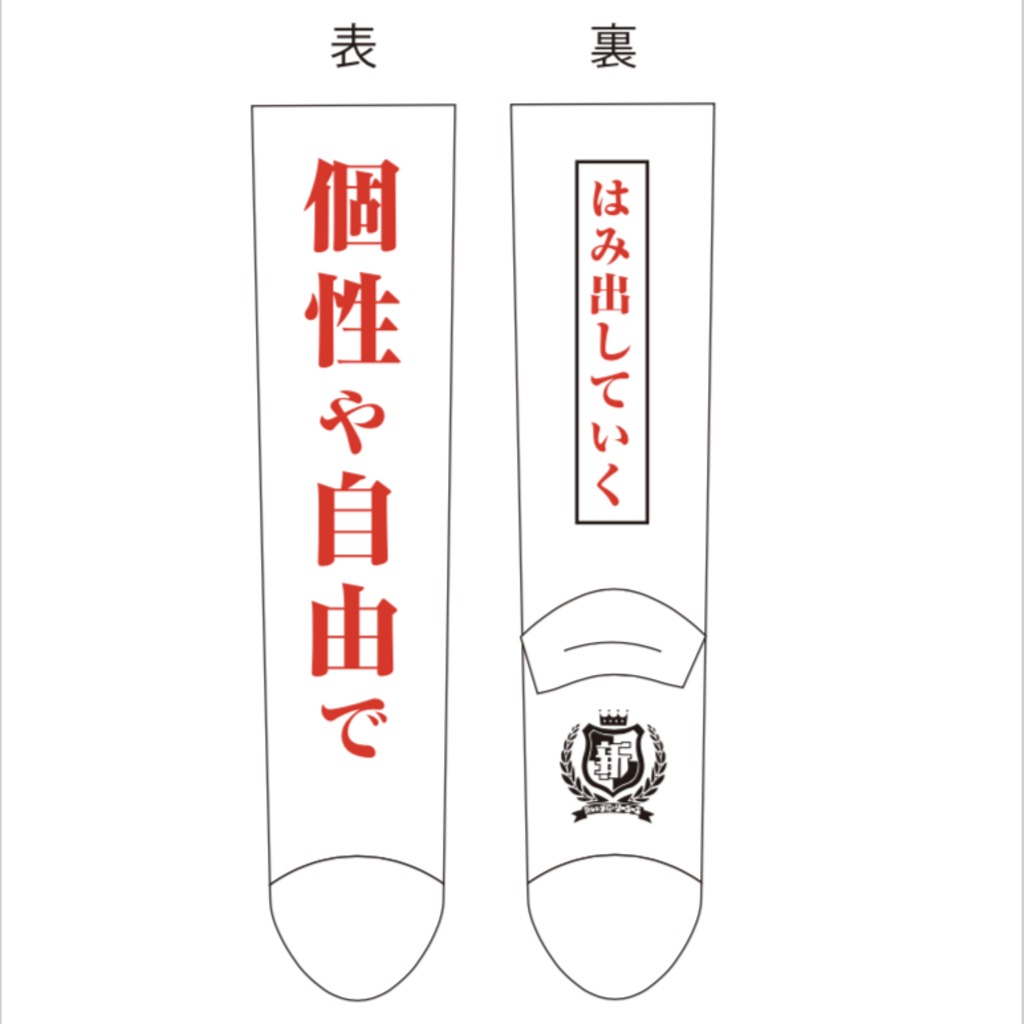 2018年購入【個性や自由でどうする？靴下】新しい学校のリーダーズ 4233596-スクリーンショット