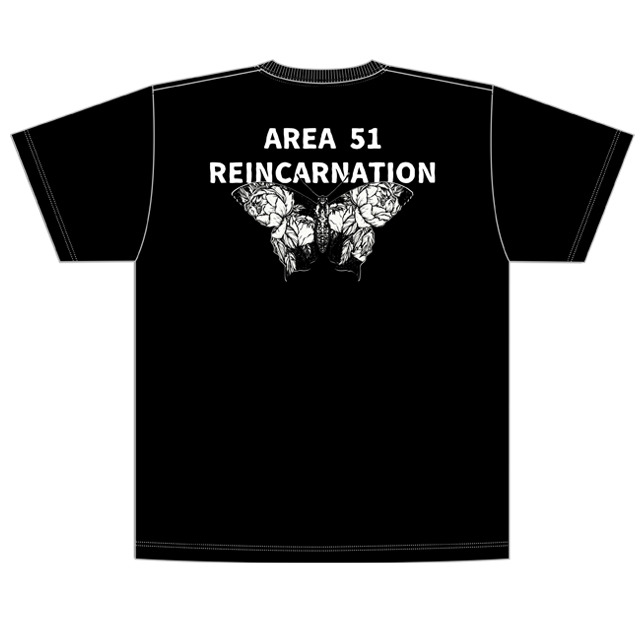 4275229-butterfly02