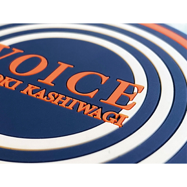 4528806-voice3