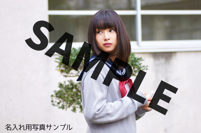 4534234-sample