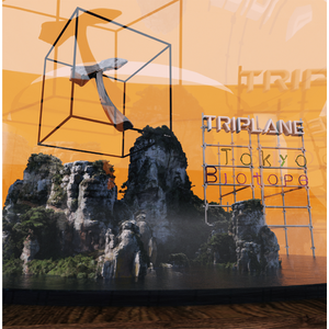 TRIPLANE　CD　未発表音源含むアルバムセット売り19枚　おまけつき MMXX T-APE – beatsville