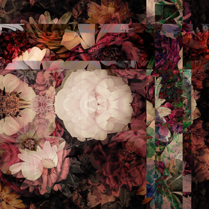 (未使用･未開封品)　Umbrella Tour 2009 [DVD] og8985z Buy a blue long umbrella original? senz° original midnight blue