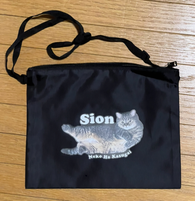 SION Official Store