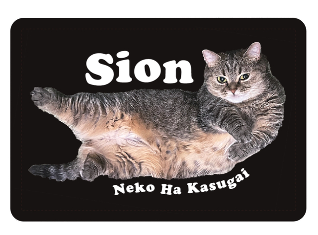 SION Official Store