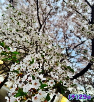 4665997-phonto