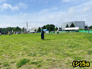 4668297-phonto