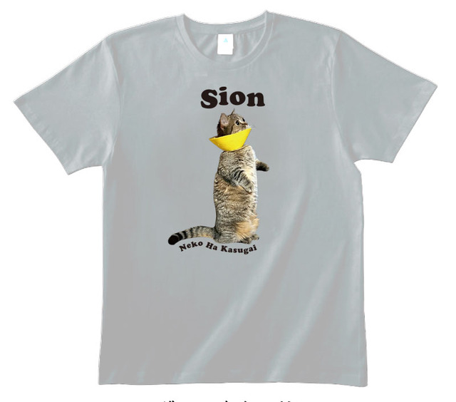 SION Tシャツ SION Official Store