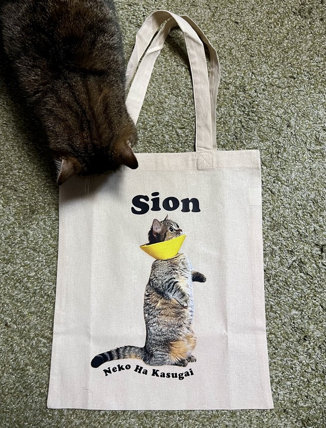 SION Official Store