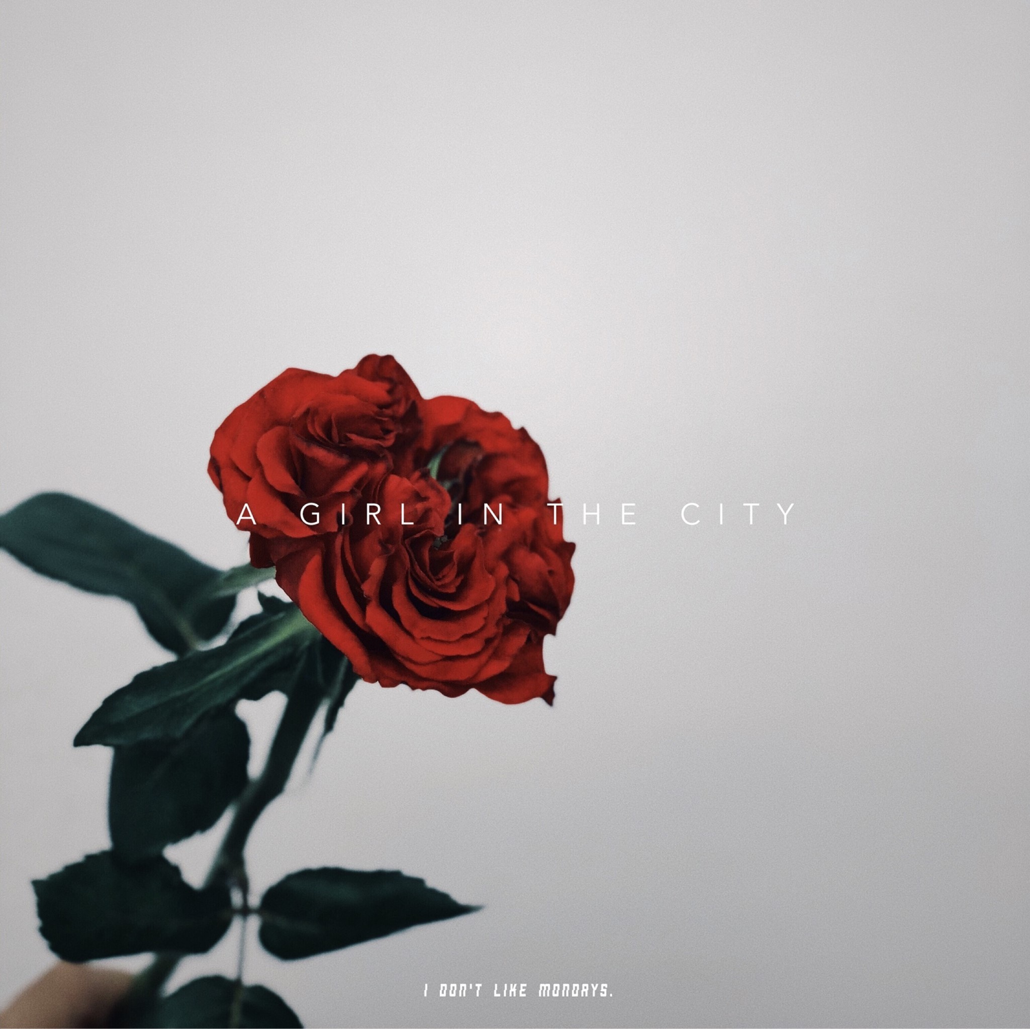 i don t like mondays official site a girl in the city