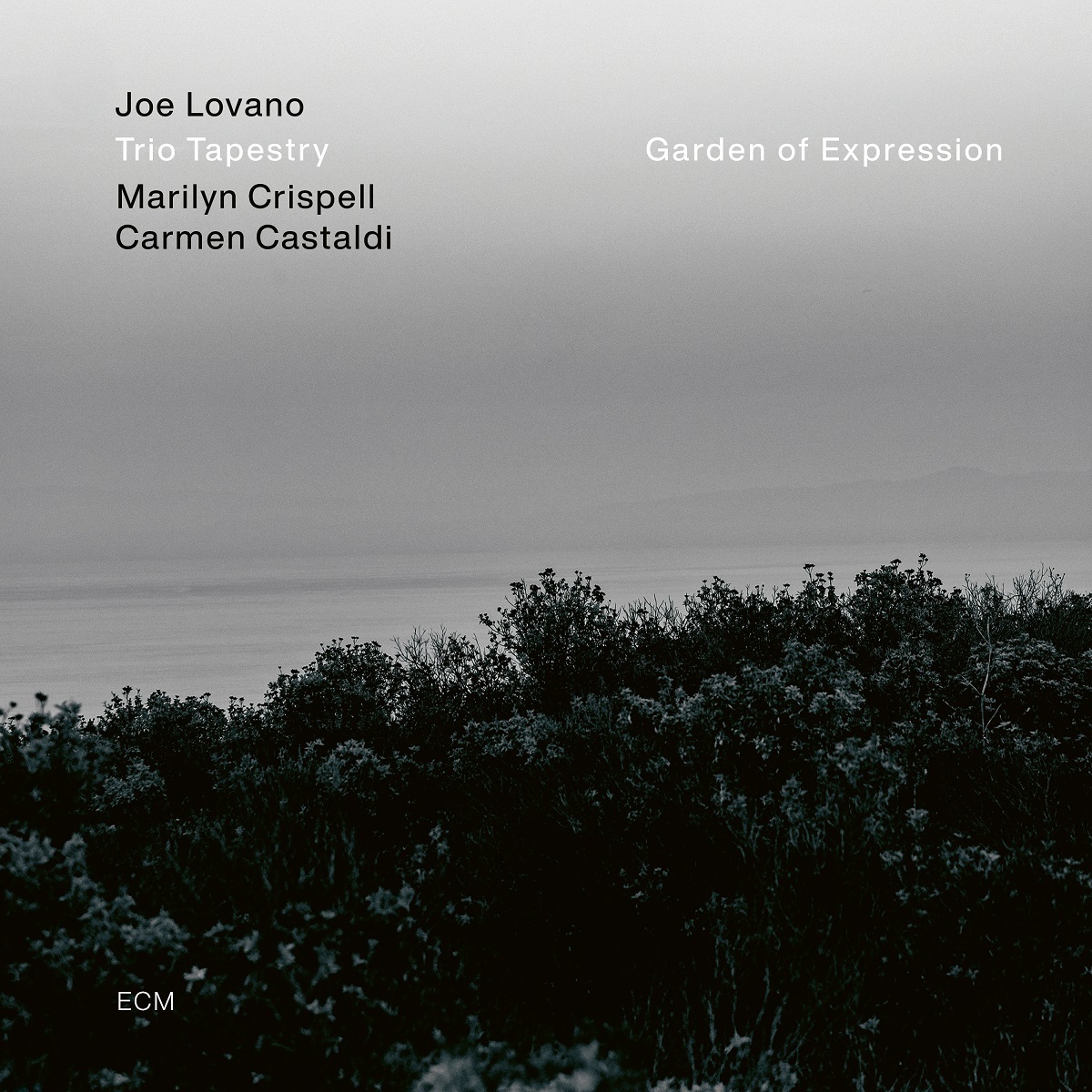Newest Ecm Vol 5 Joe Lovano Garden Of Expression Blue Note Club Web
