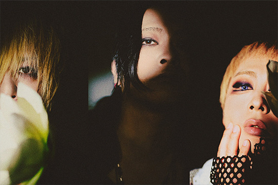 MUCC