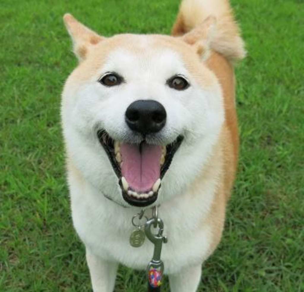 おかし