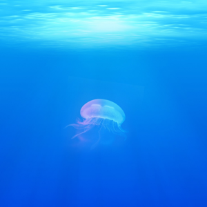 Ocean