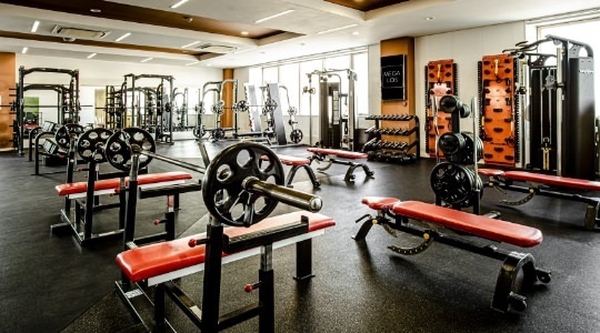 %e3%83%a1%e3%82%ab%e3%82%99%e3%83%ad%e3%82%b9 %e8%91%9b%e9%a3%beimg shop katsushika