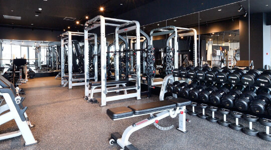 %e3%83%a1%e3%82%ab%e3%82%99%e3%83%ad%e3%82%b9 %e3%83%86%e3%83%a9%e3%83%83%e3%82%bb%e7%b4%8d%e5%b1%8b%e6%a9%8bimg shop 24 nayabashi