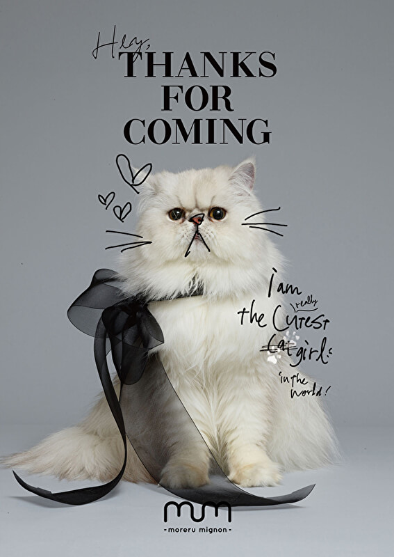 Shibuya109 プリ機専門店 Momreru Mignon モレルミニョン がねこをテーマにリニューアルオープン