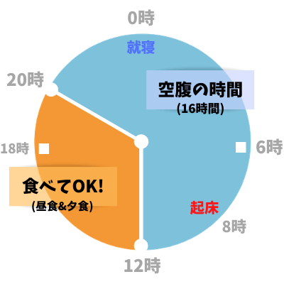 16時間断食で痩せる 話題沸騰の オートファジーダイエット のやり方や効果とは