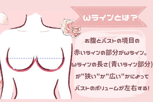 Aカップがcカップに Luna ルーナ ナチュラルアップナイトブラの口コミや効果を検証します