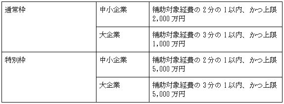 デジタル技術を駆使した経済・社会課題解決を目指す取り組みを支援