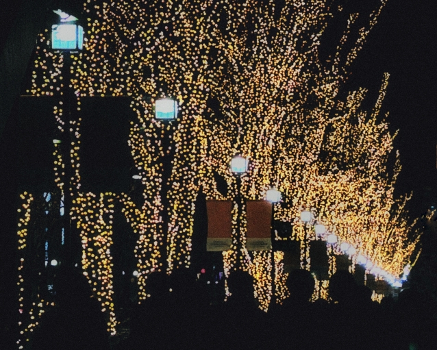 ＊＊ クリスマスを彩る、冬の装いとおすすめギフト＊＊