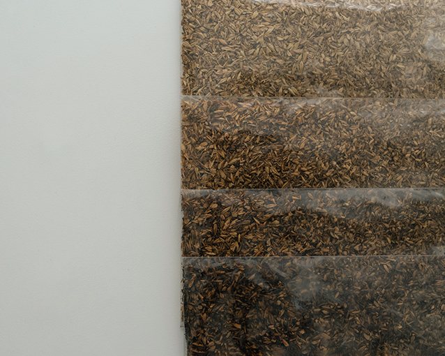 【ETHICAL DYED – MALT BASED COLOR】特集ページ公開のお知らせ