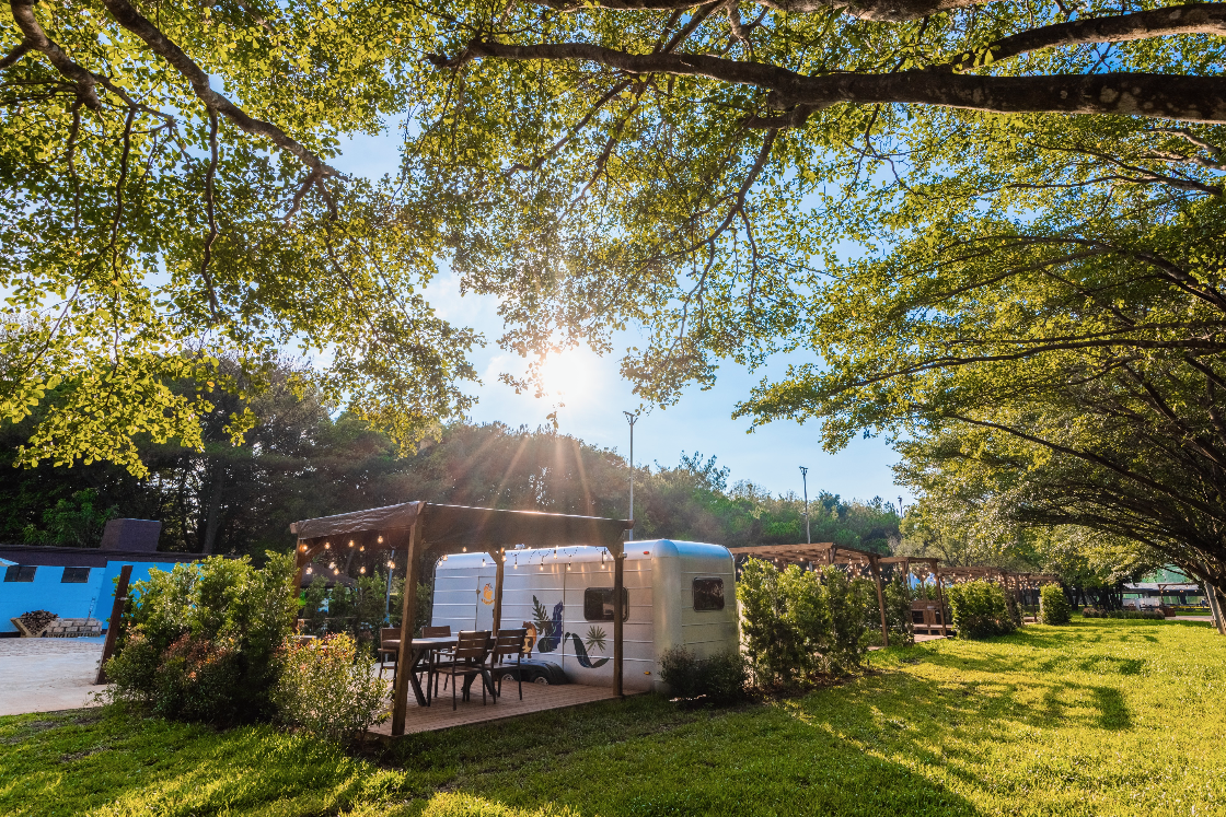 朋趣迎新春 露營趣 一泊四食 2026年春節住房優惠專案