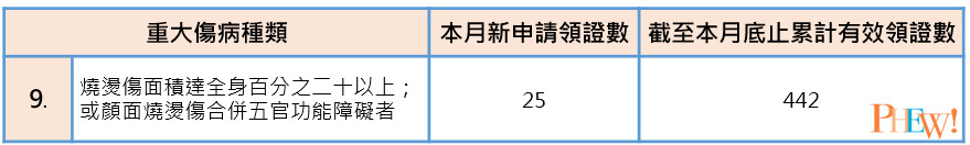 八仙塵爆重大傷病