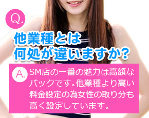 MUGA+画像3