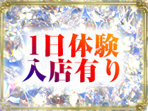 VIPクリスタル+画像8