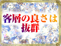 VIPクリスタル+画像11