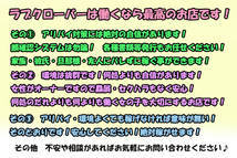 LOVE CLOVER~らぶくろーばー~+画像6