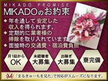 MIKADO+画像6
