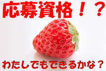 CECIL PRODUCTS+画像11