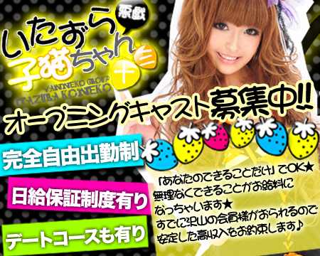 いたずら子猫ちゃん 十三店+画像1