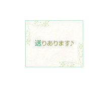 アイリスグループ+画像5