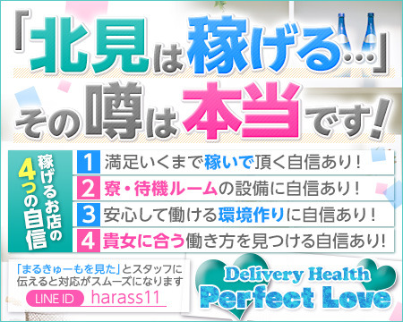 Perfect Love+画像1