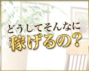 ALLAMANDA(アラマンダ)+画像2