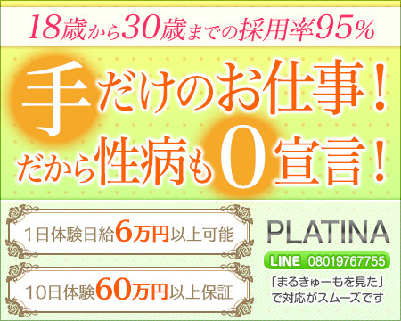 PLATINA+画像1