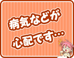 セーシェル+画像3