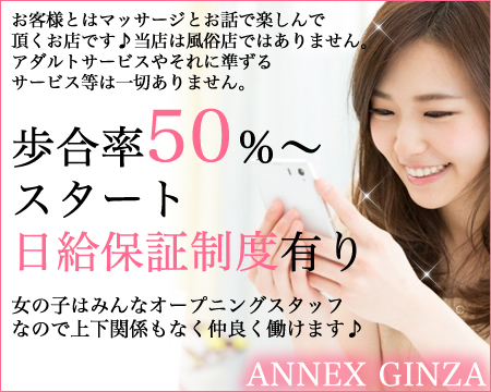ANNEX銀座+画像1